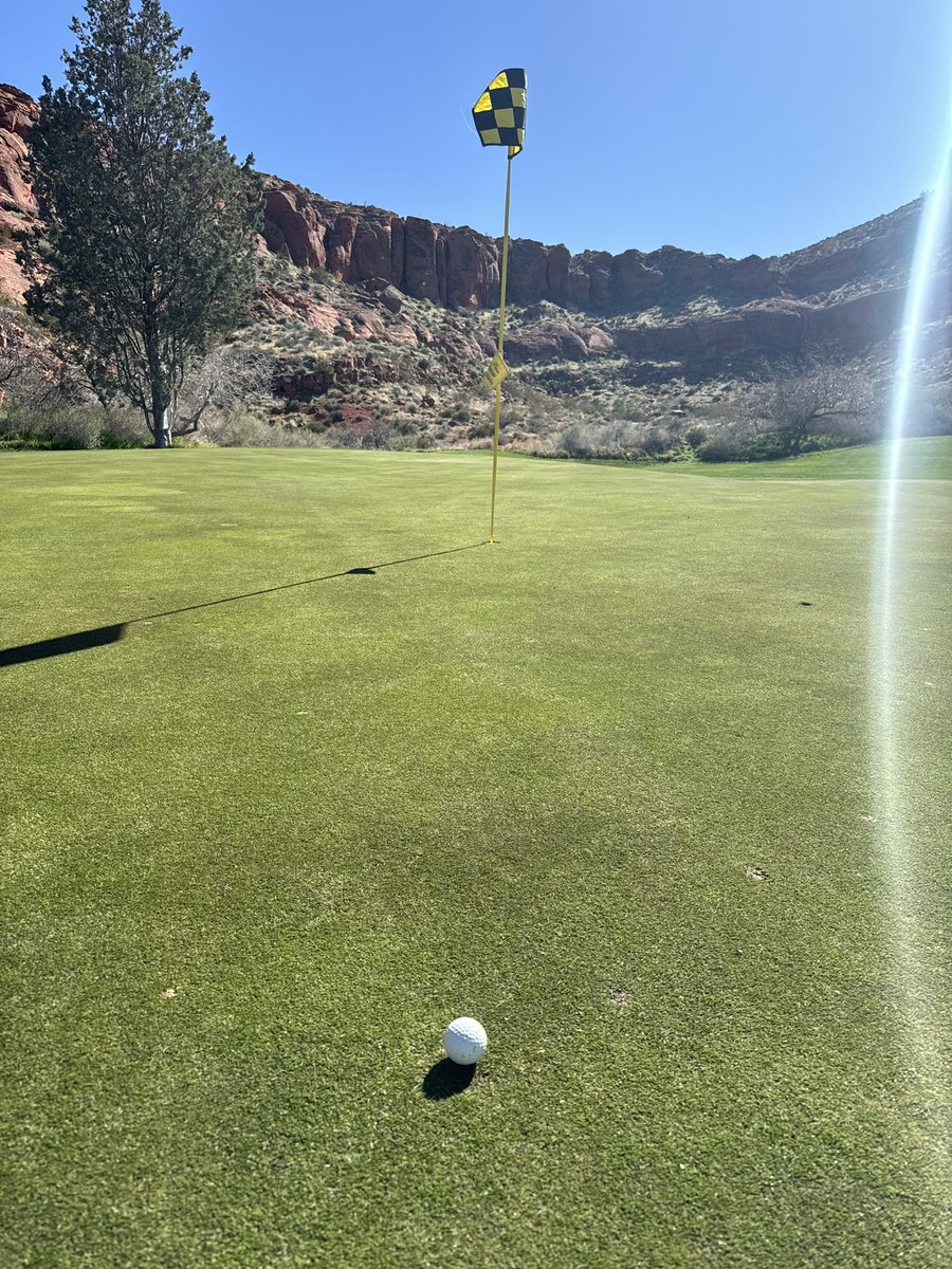 Blair Frei tweet media