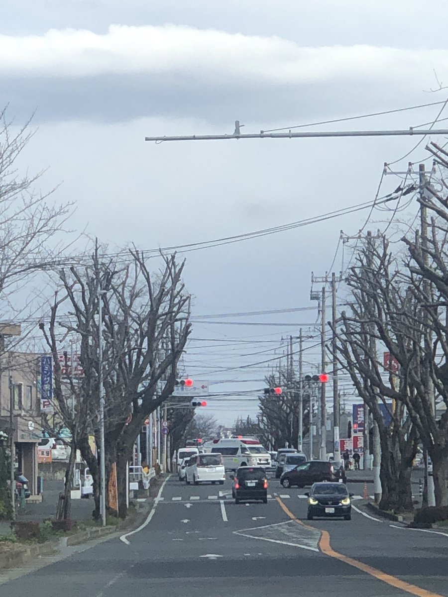 KoMuGi_ami's tweet photo. @yachiyo_shi 下の方は車に傷が入ったり見通しが悪かったりするので、仕方ないけど上の方まで切る必要あったんでしょうかね…なんか木が可哀想で胸が痛いです。家族もショックを受けてました… https://t.co/OaE2yYMBkF