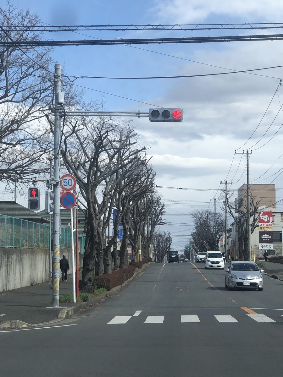KoMuGi_ami's tweet photo. @yachiyo_shi 下の方は車に傷が入ったり見通しが悪かったりするので、仕方ないけど上の方まで切る必要あったんでしょうかね…なんか木が可哀想で胸が痛いです。家族もショックを受けてました… https://t.co/OaE2yYMBkF