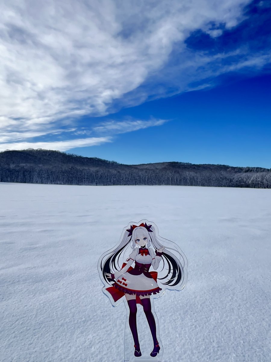 お昼の投稿が遅れてしまいました😱 今日は昨日から暴風雪で今日もあちらこちらに吹き溜まりができていて皆さん雪かきに追われていますね☃️でも風は強くても天気が良くて空の色が綺麗♪風が連日強いのは春が近いからなのかな？ #鶴居村 #鶴居いづる