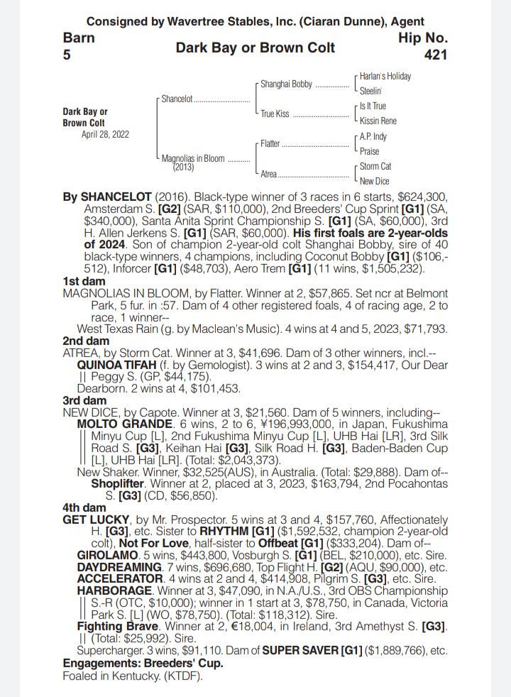mike33024's tweet image. I can not cap!  These Shancelots are looking nice 👀

This has to be a 10 flat or under colt.

Shancelot's Amsterdam was one of the freakiest races I've ever seen.  This guy got a PEDIGREE on him too 👀