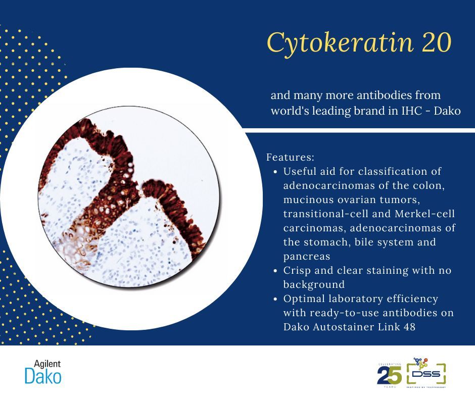 DSSImagetech's tweet image. Primary Antibodies are intended for use on tissue sections whereas control Reagents are well-suited as qualitative negative controls for the primary antibodies.

Know More: buff.ly/3jEfZCf 
Contact us: enquiry@dssimage.com 

#dssimage #inspiredbytechnology