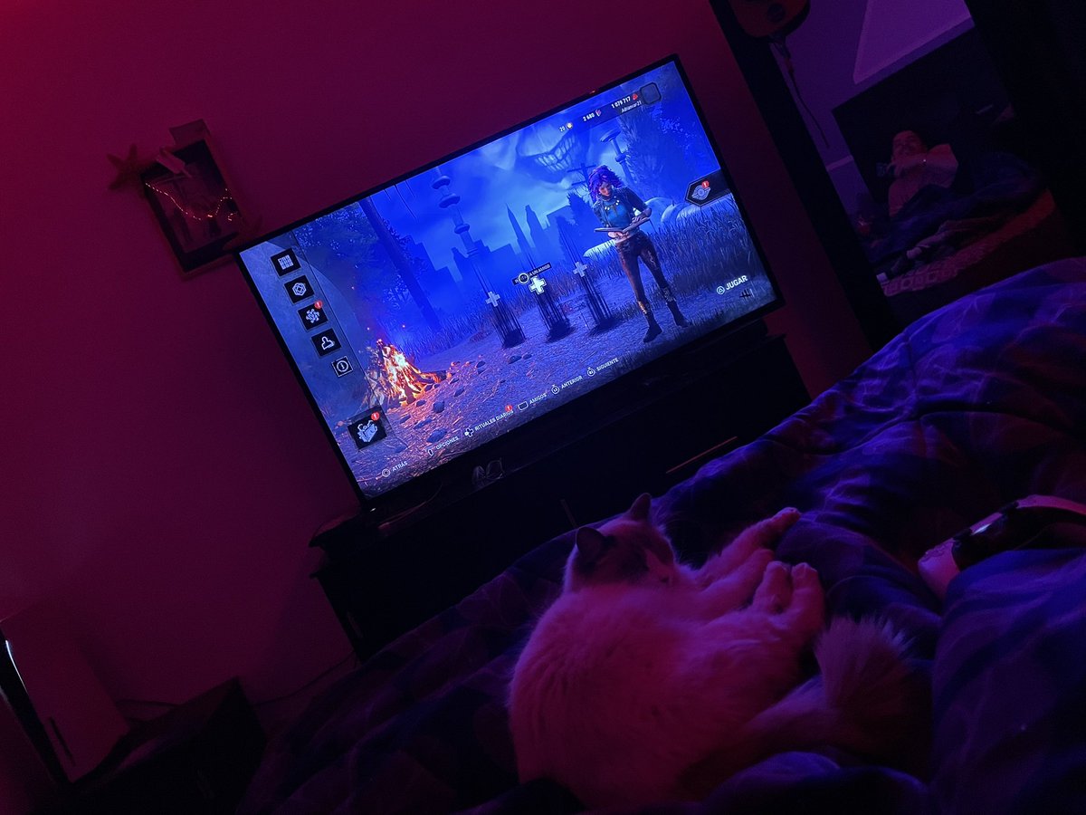 ADRINVA03072356's tweet photo. #DeadbyDaylight #dadcat https://t.co/zN6eazM6CS