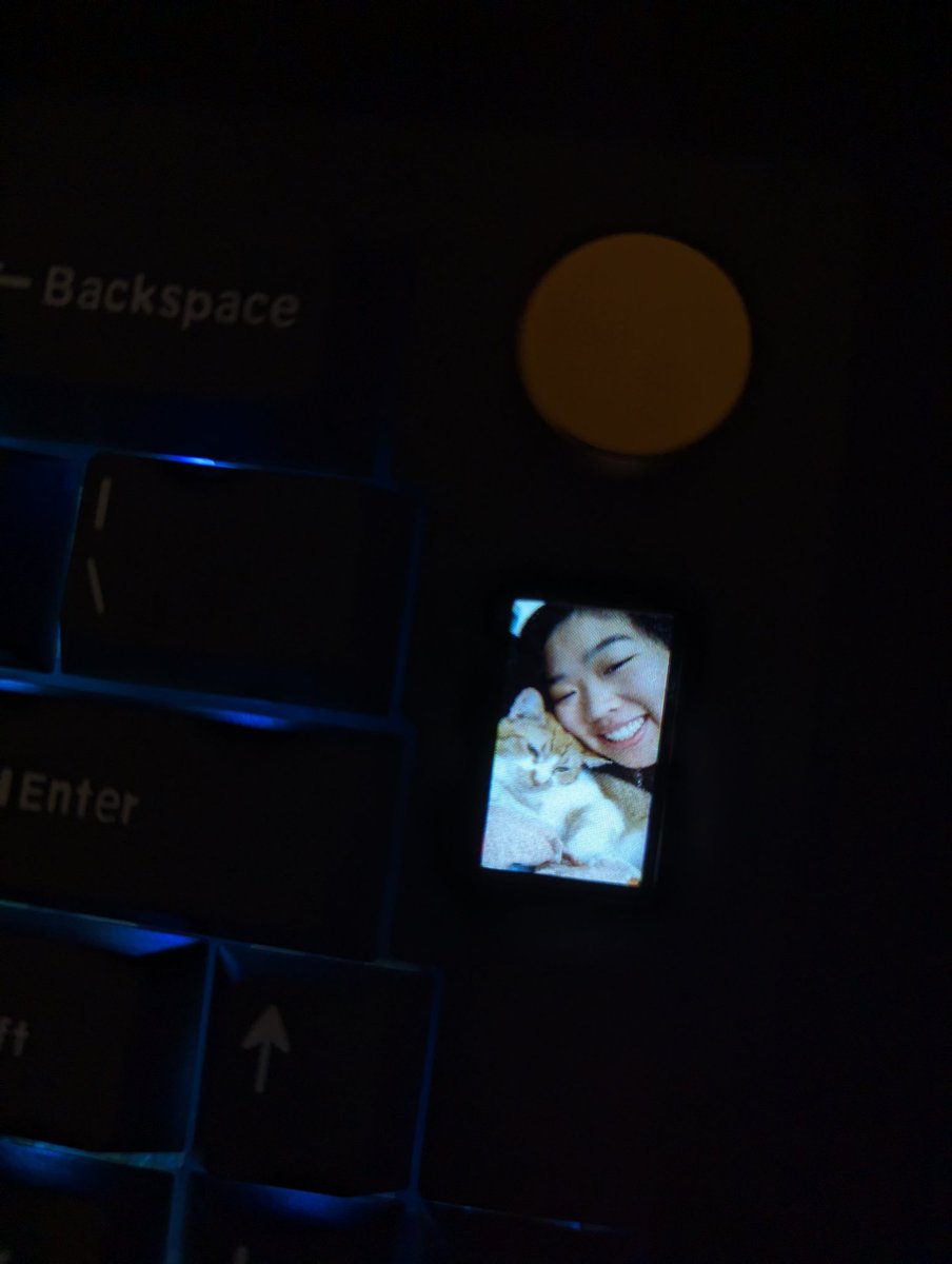 whoozmanz's tweet photo. Boyfriend put me and my cat on his new keyboard 🥰 https://t.co/j51VrJMaDm