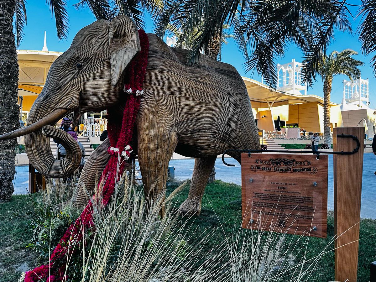 therealeleco's tweet photo. Nestled among roaring cars at @BAH_Int_Circuit the racing obsessed among us discovered #lantanaelephants https://t.co/qNSX7MHJYd