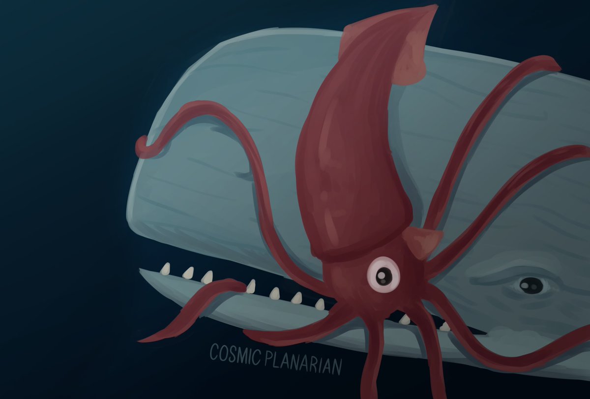 100 Days of Sea Creatures 🥳 Day 100 🥳 Giant Squid (Architeuthis dux) And with that, the work is finally done. Stay tuned(?) for whatever ideas come to me next! #smallartist #seacreatures