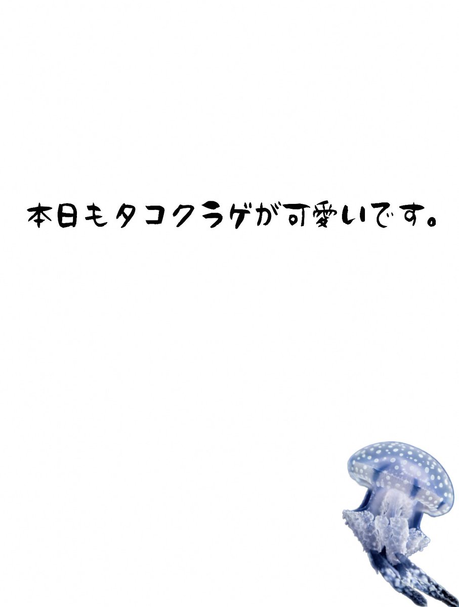【報告】