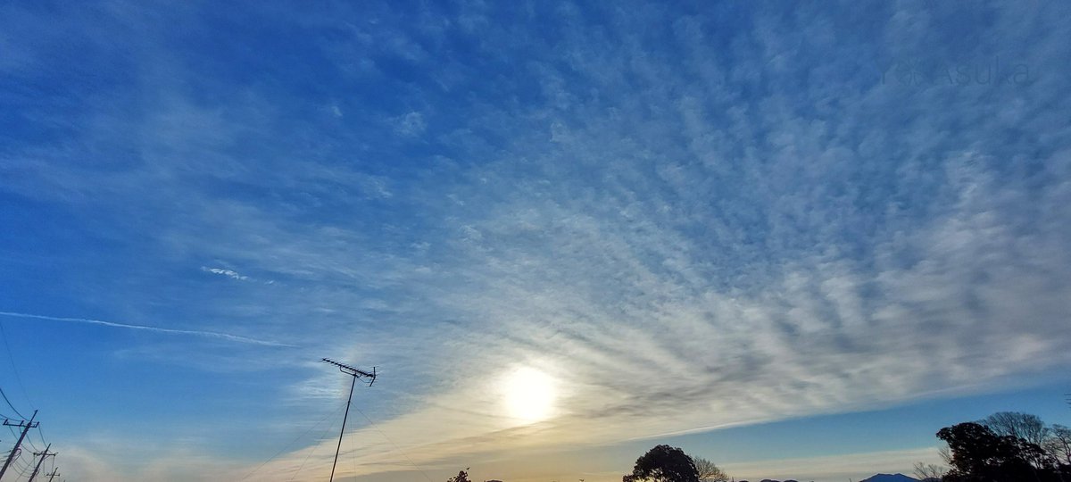 yumeasutw's tweet photo. 朝の虹色見~つけた🏳️🌈✨
多彩な雲が広がる #朝空 に
朝日の左側に煌めく #幻日 🏳️🌈✨
#巻雲 #巻積雲 #巻層雲
#放射状巻雲 #高積雲
#空の名前
#天気の図鑑 #雲の超図鑑
#空 #空が好き
#sky #cloud #空と雲 #雲 #雲が好き
#a2024 #a0302 #a202403 #a2024031 https://t.co/mHAtqfMvYA