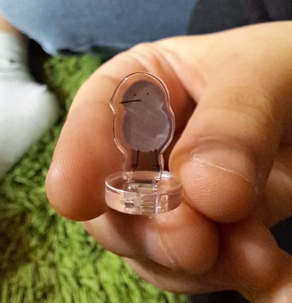 히히
희언니한테 섰던 키위새!!