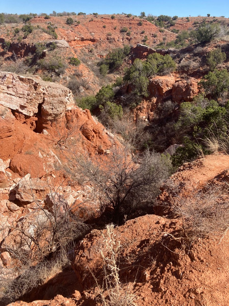 darylanniam's tweet photo. West. Texas. Is. The. Best. Texas. https://t.co/tLRJSX9lYr