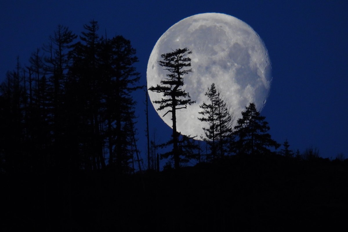 tessvanstraaten's tweet image. ❄️As we finish #MeteorologicalWinter and kick off #MeteorologicalSpring🌷today&apos;s weather photo is this great shot of the #snowmoon in Port Alberni this week. 🌩️More unsettled weather is ahead. ☔️Details on @CHEK_News at 5 &amp;amp; 6 p.m.

📷Janine Linning
@CHEK_media #ShareYourWeather