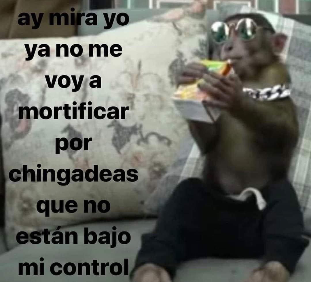 ElJeringasLoko's tweet image. 😎