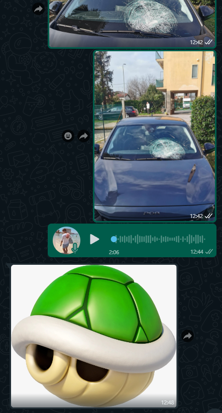 Flipper🎈 tweet media