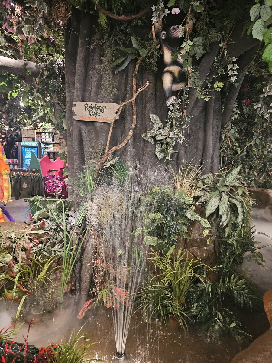 ColeyDecat's tweet photo. @eddyburback  you can come back to the Rainforest in Edison New Jersey.  They fixed the water feature. https://t.co/uWYnccKFZ7