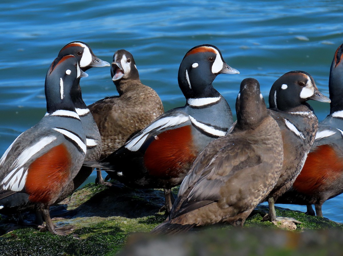 Ted Floyd tweet media