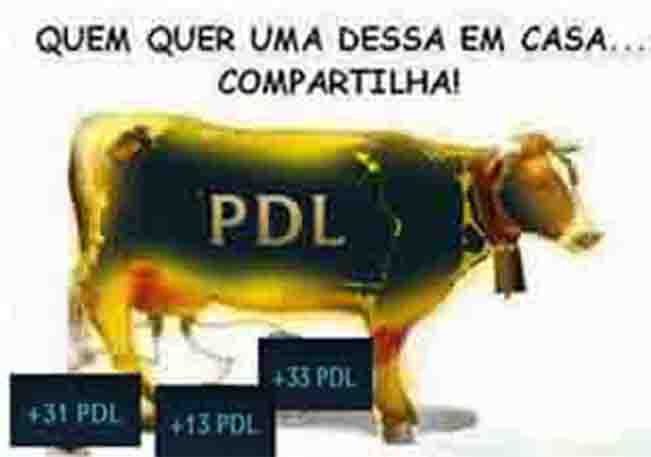 LOL_ENGRAcADA's tweet image. 