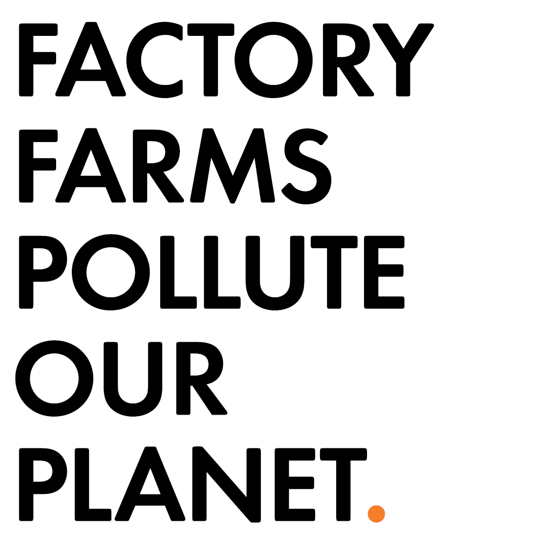 Fact: Factory farms are a major contributor to climate change. #EatMorePlants