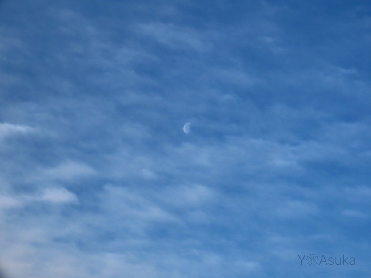 yumeasutw's tweet photo. #青空 に西から東へ帯状に #房状巻積雲 が広がる冷えた土曜日の朝༄༅
雲間に覗く白い #宵月 (月齢21.0)🌖
予想最高/最低気温🌡️10℃/0℃
晴れ☀️
お洗濯日和👕👖午後は北風が冷たそうです🌬️➰➰🍂
#朝空
#月 #moon #sky
#日光連山
#空の名前
#天気の図鑑 #雲の超図鑑
#鉄塔
#a2024 #a0302 #a202403 https://t.co/otsVjfrKYj