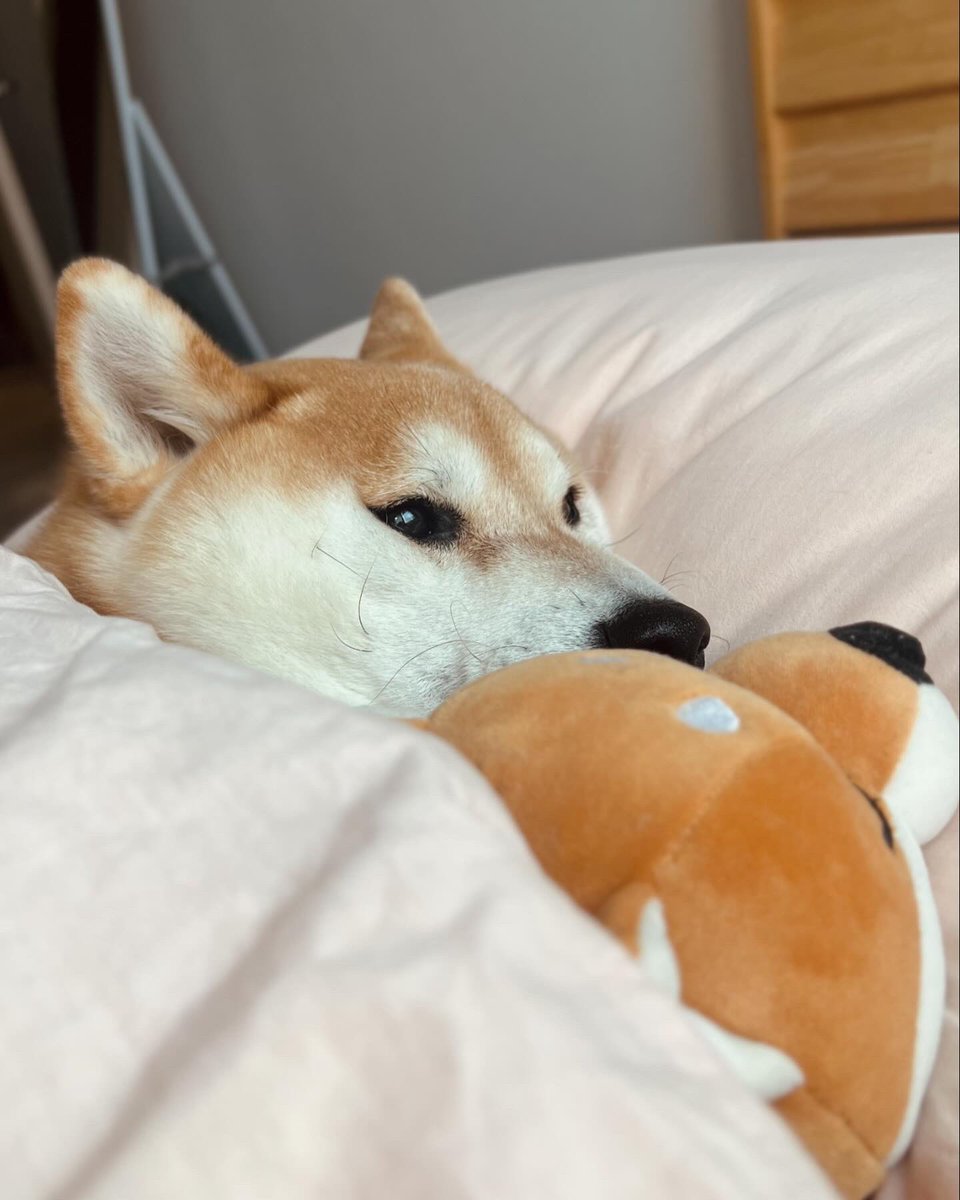 주말에 꼬순내로 눈 뜨기