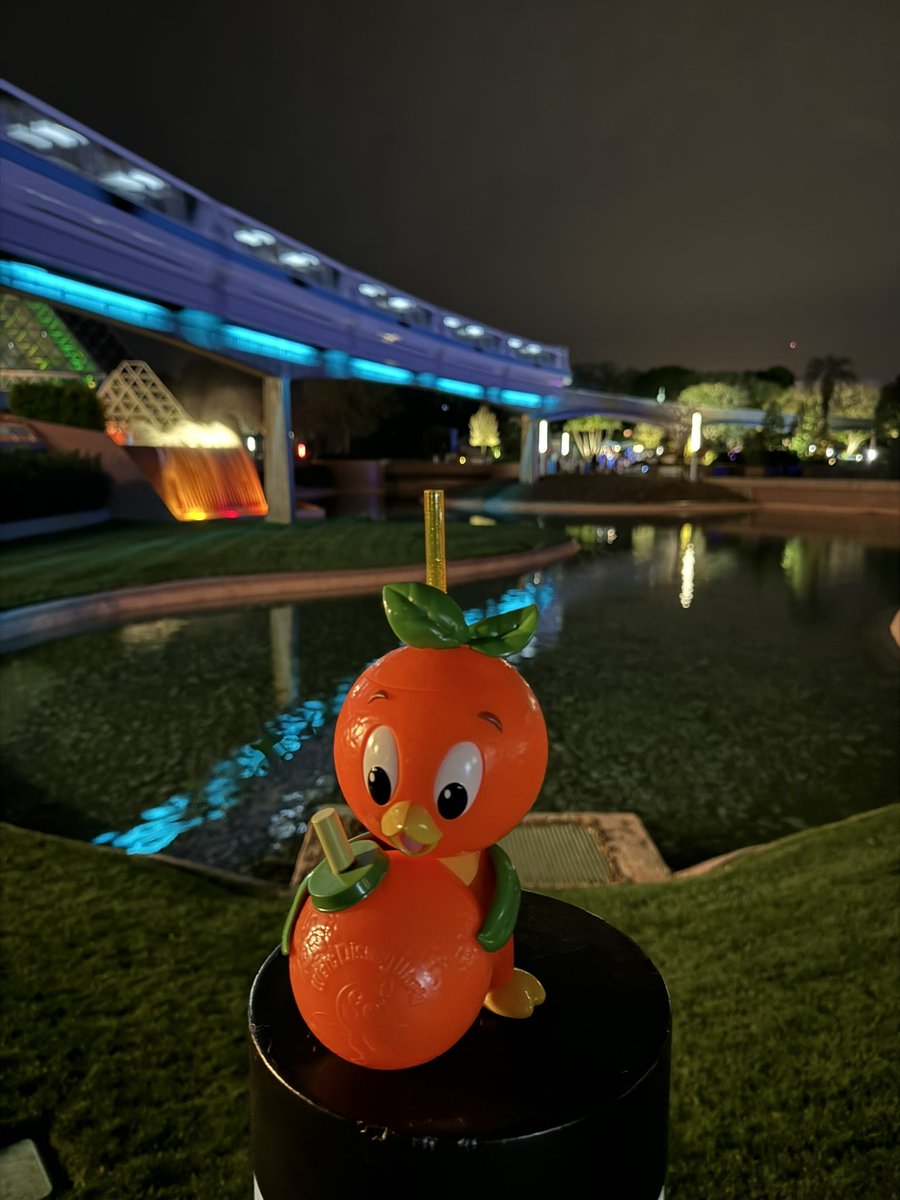 Moonlight Magic!!!
#DVCMember