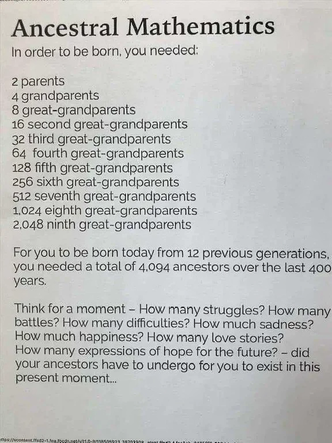 mathladyhazel's tweet photo. These are the requirements for your existence. https://t.co/5Pkl8DUJxZ