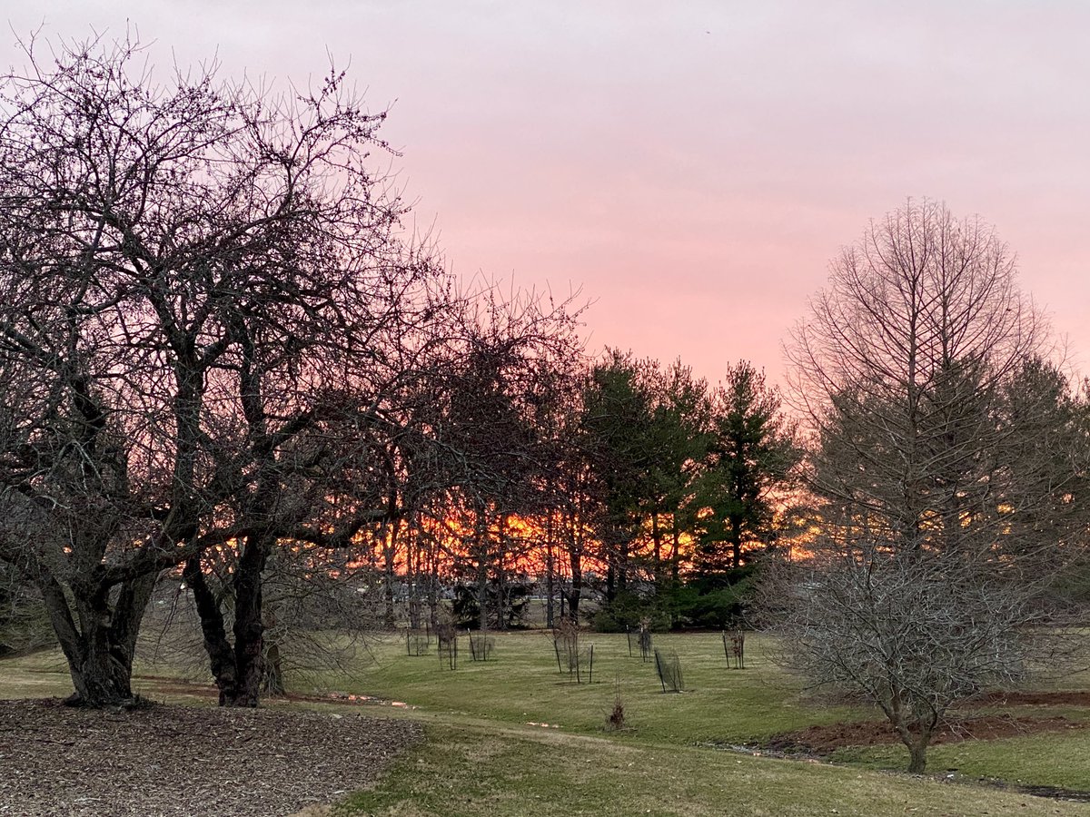 Captured a colorful sky along the tree line as I was leaving campus today! #UISedu.