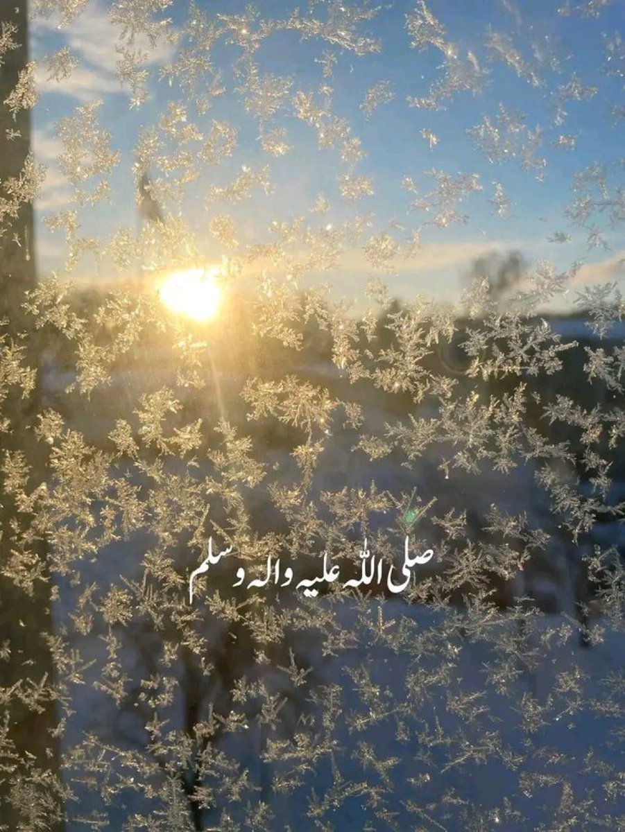 صبح بخیر 
گڈ مارننگ
Good Morning
All x Family Members 💕