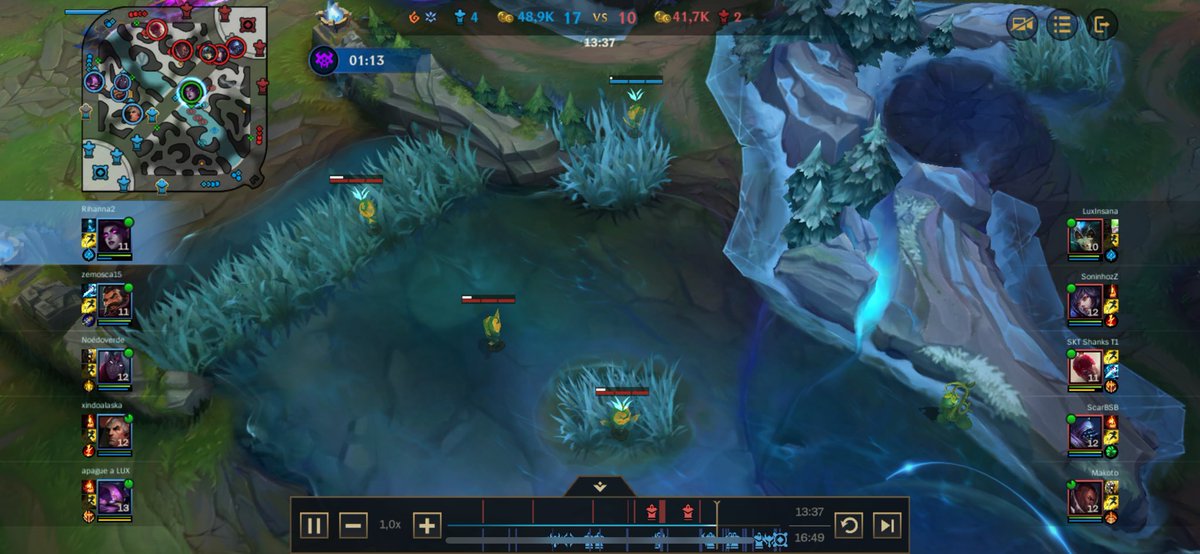 Eles REALMENTE querem ter visão desse rio #WildRift