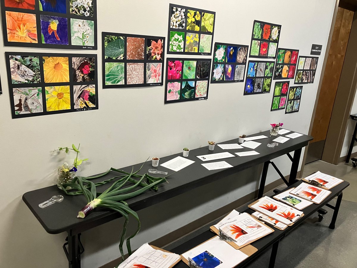 Design39Campus's tweet image. How does PERSPECTIVE help us gain empathy and a better understanding of the world? 4th and 5th graders created an interactive experience to showcase their learnings and reflections at their Exhibition of Learning. #d39c #exhibitionoflearning #collaboration @PowayUnified