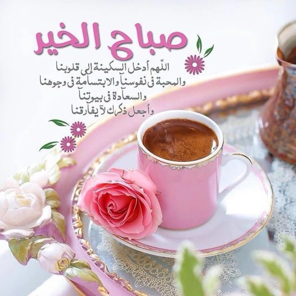 💫 جارة القمر 💫 (@maryamh2211) on Twitter photo 