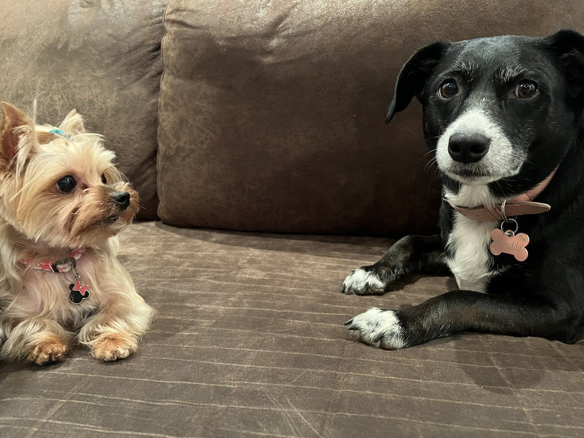 Brasil me obriga a beber tweet media