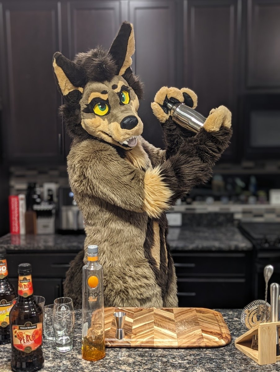 Friday night! What can I make you? 🌵

#FursuitFriday