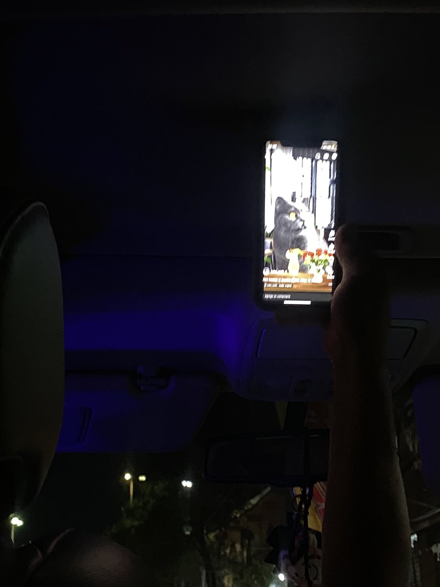 Mooraymag's tweet photo. Mi papá puede ver mil videos de gatitos haciendo chistes todo el día sin cansarse ni parar de reír https://t.co/ex7tHJH1sd