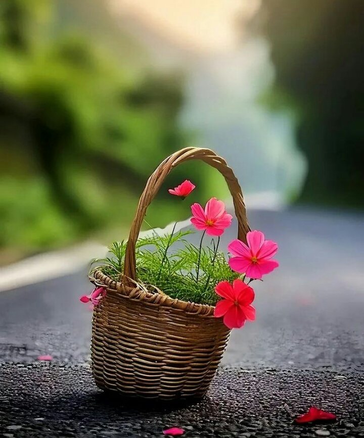 hasibabibi1's tweet image. Good morning have a beautiful day my dear friend