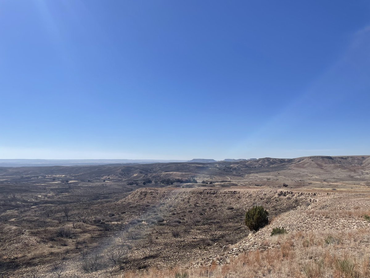 Springfdtx's tweet photo. Members of the Spring Fire Wildland Team are deployed to the Smokehouse Creek Fire in the Texas panhandle.
Today their strike team hiked alongside the fire line to ensure the fire was contained in their sector.
H/T to FF Millikin
#wildfire #wildlandteam #springfireproud https://t.co/krql2Kf2Qi