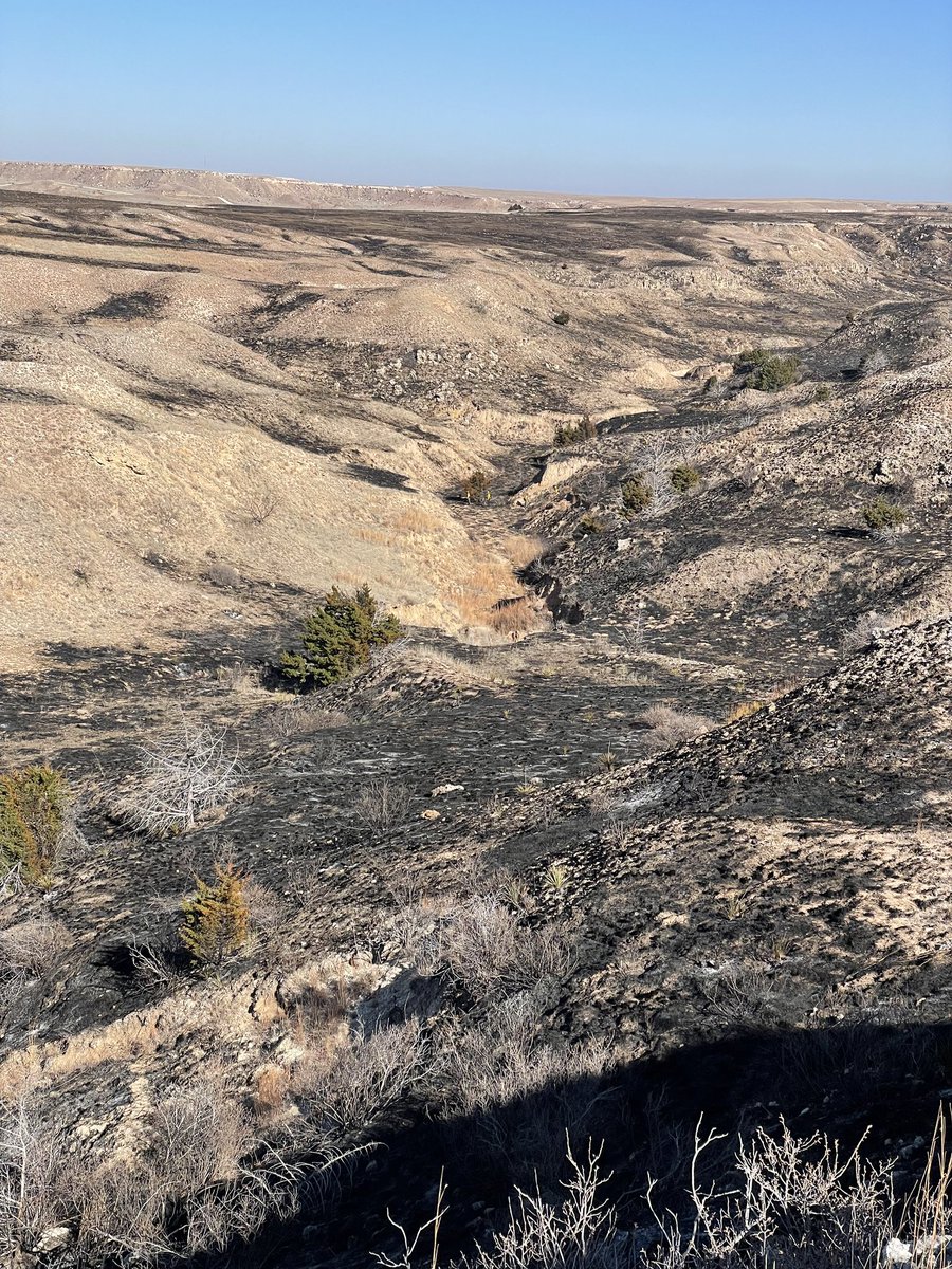 Springfdtx's tweet photo. Members of the Spring Fire Wildland Team are deployed to the Smokehouse Creek Fire in the Texas panhandle.
Today their strike team hiked alongside the fire line to ensure the fire was contained in their sector.
H/T to FF Millikin
#wildfire #wildlandteam #springfireproud https://t.co/krql2Kf2Qi