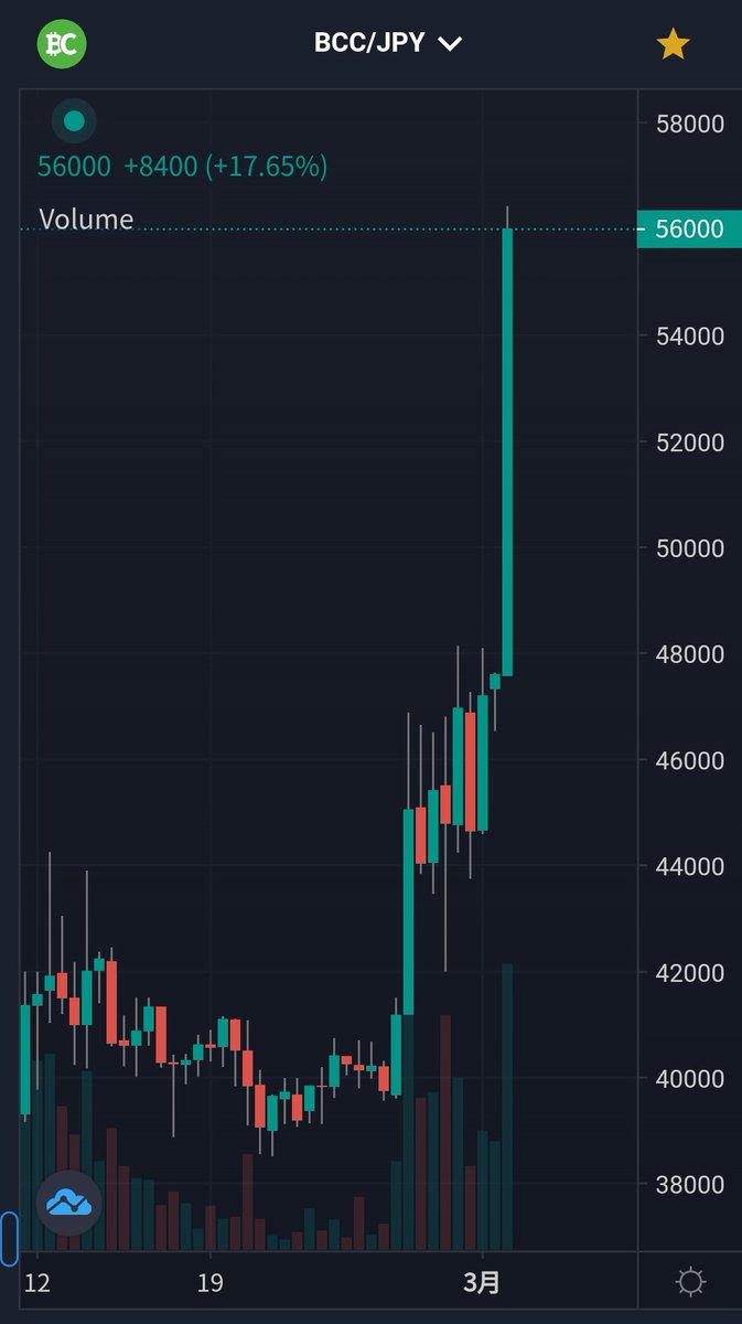 ビットコインキャッシュ
