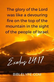 Coach Tarrik Mabon tweet media