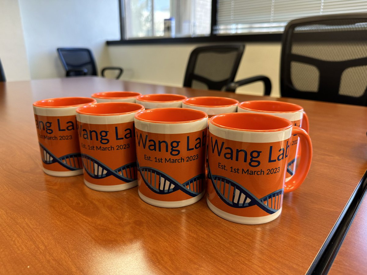 Meng Wang tweet media