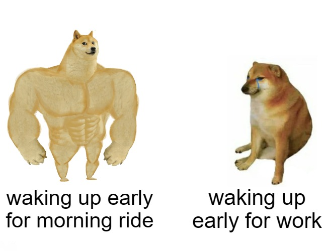 velowaveus's tweet photo. Happens to the best of us 🤷‍♀️
Have you ever encountered this kind of experience before, Velowave fam? 🚲

#sundayvibes #typicalsunday #sundayrides #meme #memes #ebikemem #ebike #Velowave #RideRechargeRepeat https://t.co/0coKcTxaI0