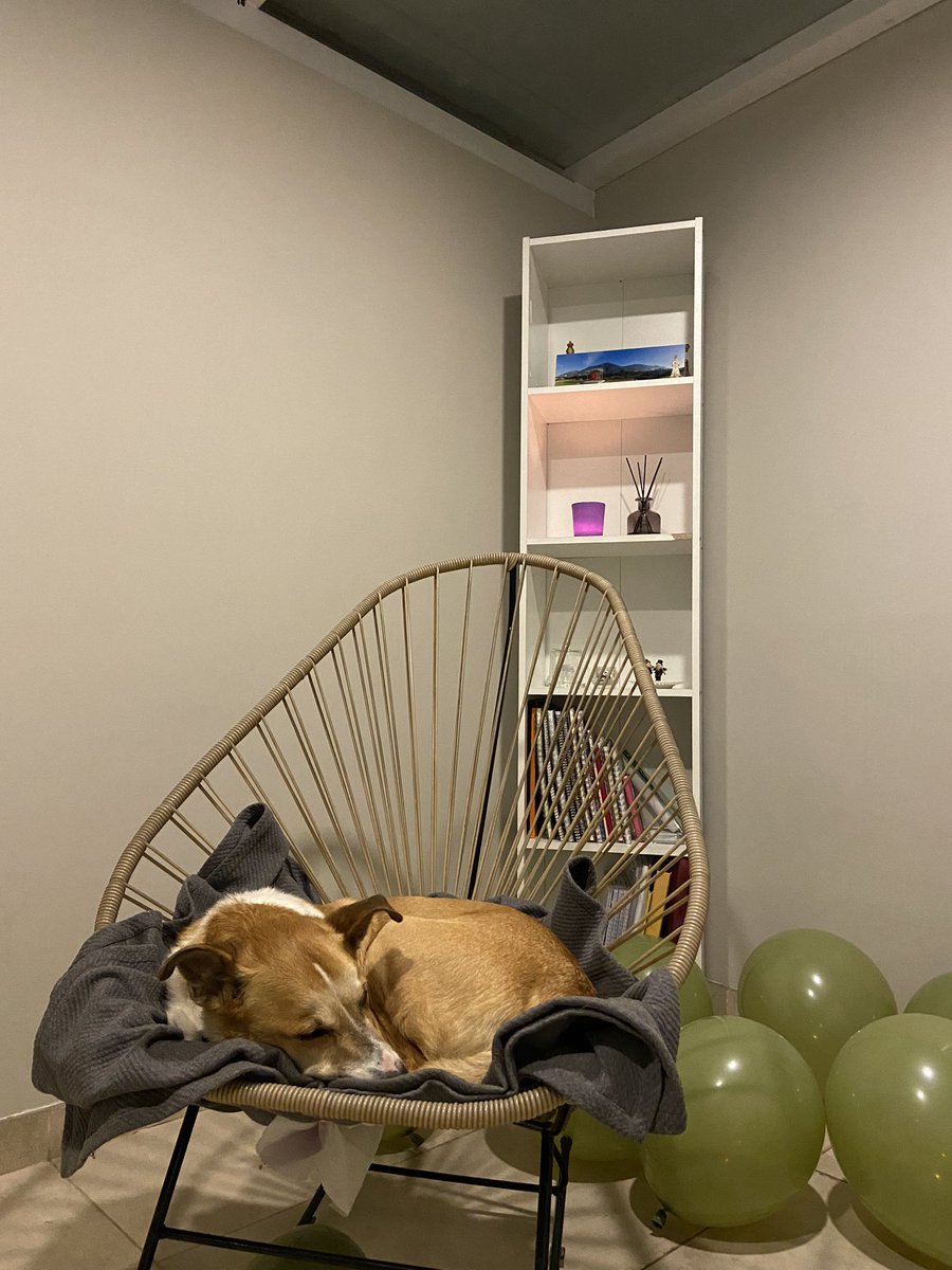 Simple. Mi mejor compañía. El amor de mi vida, posta. La paz que me da saber que esta dormidito mientras yo hago mis cosas… el solo está feliz de estar acá, donde yo estoy, el disfruta literal de la compañía, más nada. El verdadero amor, el.