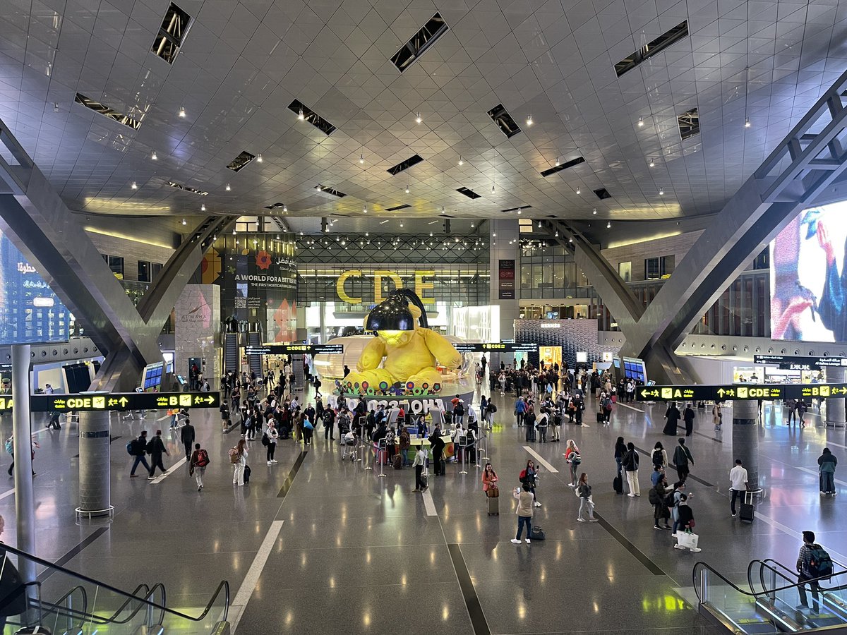 Donald Steel tweet media