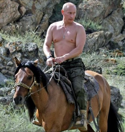 Avner Solal tweet media