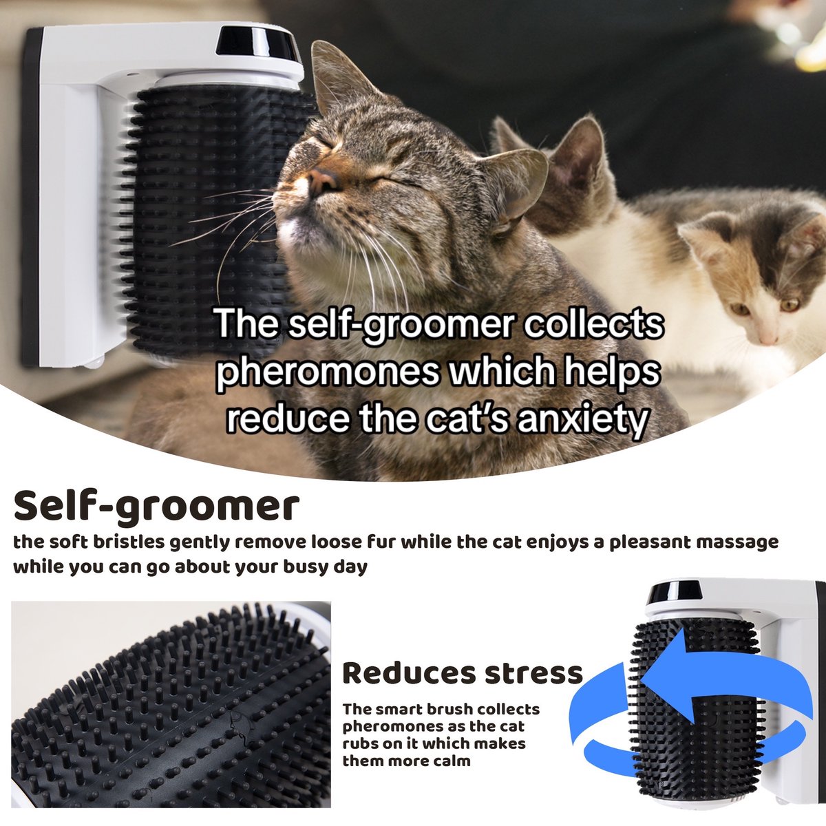 PawsitiveJoy's tweet photo. Benefits part 2 to our Cat Grooming Kit. Available on our website https://t.co/3pcQTYHhlY. Link below and in bio! #petgrooming #catgrooming #CatsOfX #CatsOfTwitter 

https://t.co/CadM2pWd2f https://t.co/QIQVWGLxt4