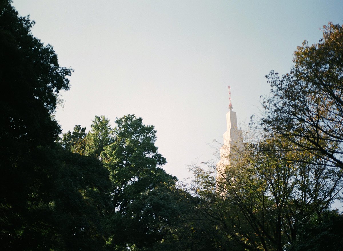 inao_toshiaki's tweet photo. WAIKIKI PHOTOGRAPH
plan it , shinjuku gyoen tokyo japan
#shinjukugyoen
#japan
#thecalmdays
#็ฉใใใชๆฅใ
#ๆฐๅฎฟๅพก่
#planit
#streetphotography
#streetsnap
#filmphotography
#filmcamera
#mamiya645
#ใใใค645
#ใใใค
#mamiya
#ใใฃใซใ ใซใกใฉ
#waikiki_inc_photograph https://t.co/QOIkcmYbEA