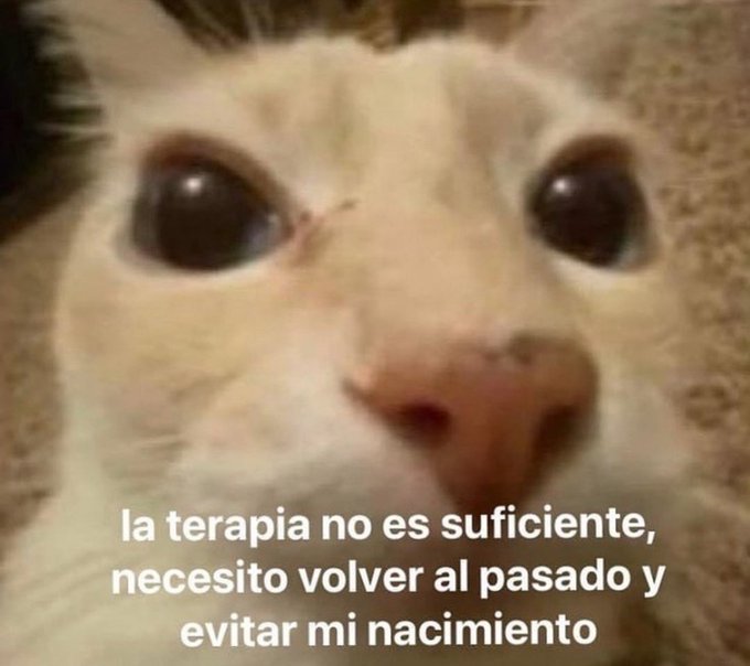 BooBoolikeboo's tweet photo. No me está gustando la rutina del alex ortiz pero quiero ver que pasa jajja Aunque me la estoy sufriendo. https://t.co/rgN0Ndjirc