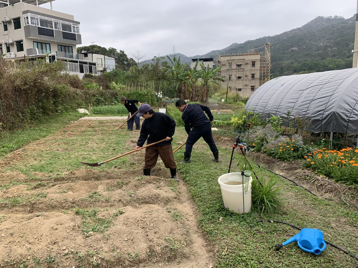 BrightBirdBio's tweet image. 轉變

兩個星期前不小心弄傷了左手筋腱，幸好即晚就能在醫院做手術，加上服用了順勢療法的療劑，傷口的癒合總算理想，十分萬幸感恩。

但始終傷勢不輕，三個月也不能用左手務農，很多要用雙手的簡單工作如挑坑也未能處理。正當躊躇著…

brightbirdbio.com/?p=3420