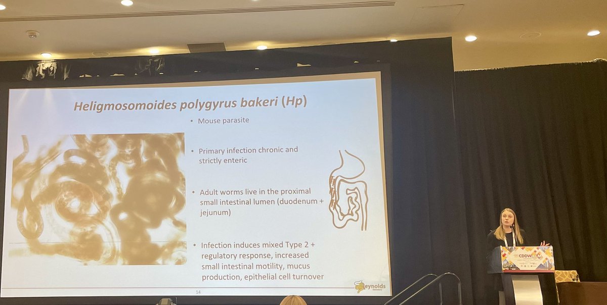 ImmunoRach's tweet photo. Congrats to my incredible supervisor @DrLARey on being awarded the Early Career Investigator Partnership Prize at #CDDWCLM2024 today. Here she is recruiting everyone in the room to #TeamWorm, she is very good at this ๐ชฑ https://t.co/ygLbeBwiyk