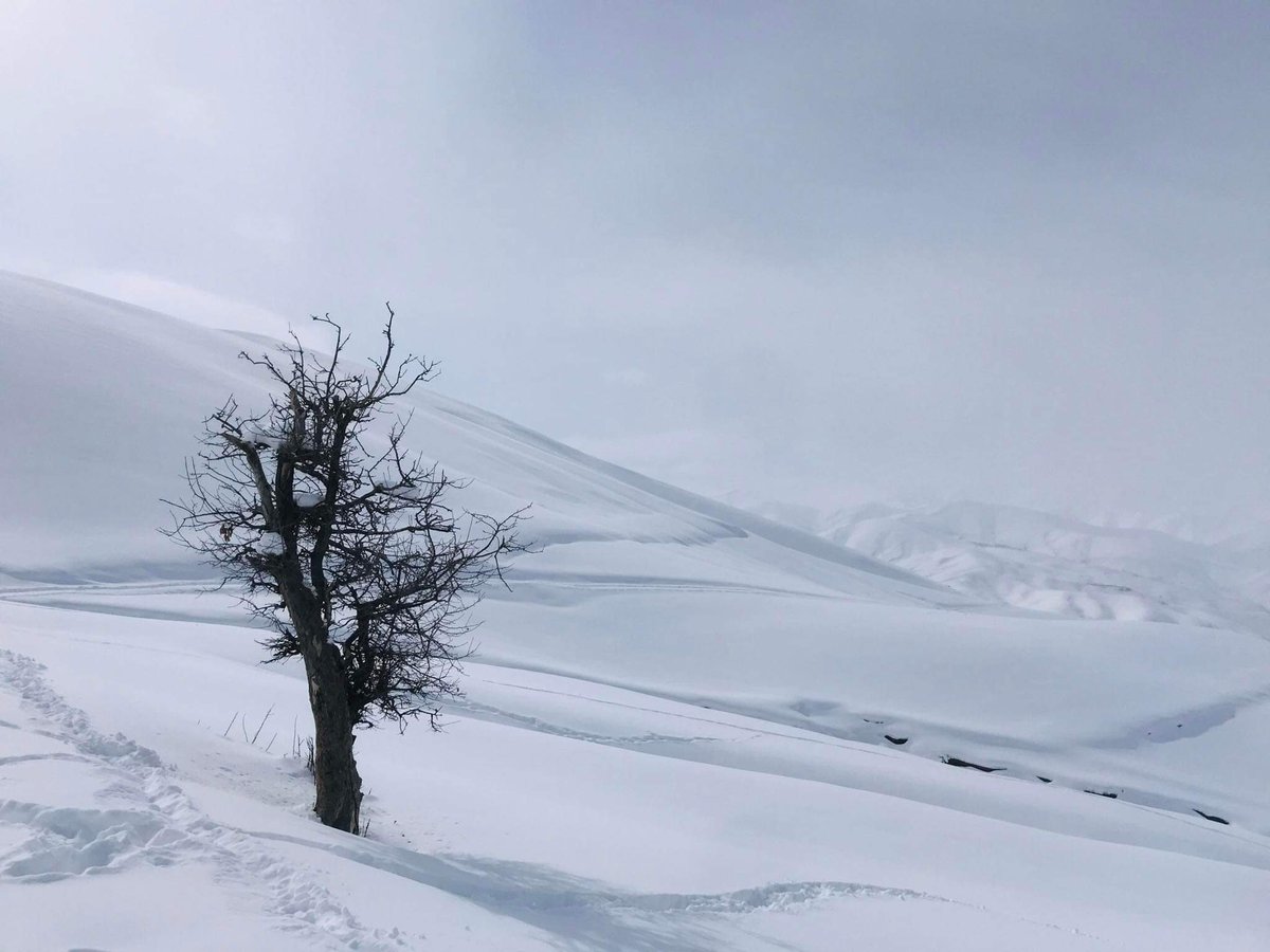 mtayeb's tweet photo. #winter in #kohistan district of #Badakhshan province in northeast #Afghanistan #February2024 #snow #village https://t.co/7mtXOqi6fV