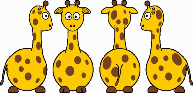 Giraffe Coloring Pages(free download)
mega4upload.com/w0wnqu4bus8x
#coloring #coloringpages #adultcoloring #coloringtherapy #coloringforadults #coloringbook #coloringfun #coloringtime #coloringisfun #colortherapy #relaxingcoloring #coloringlove #coloringaddict #coloringfanatics